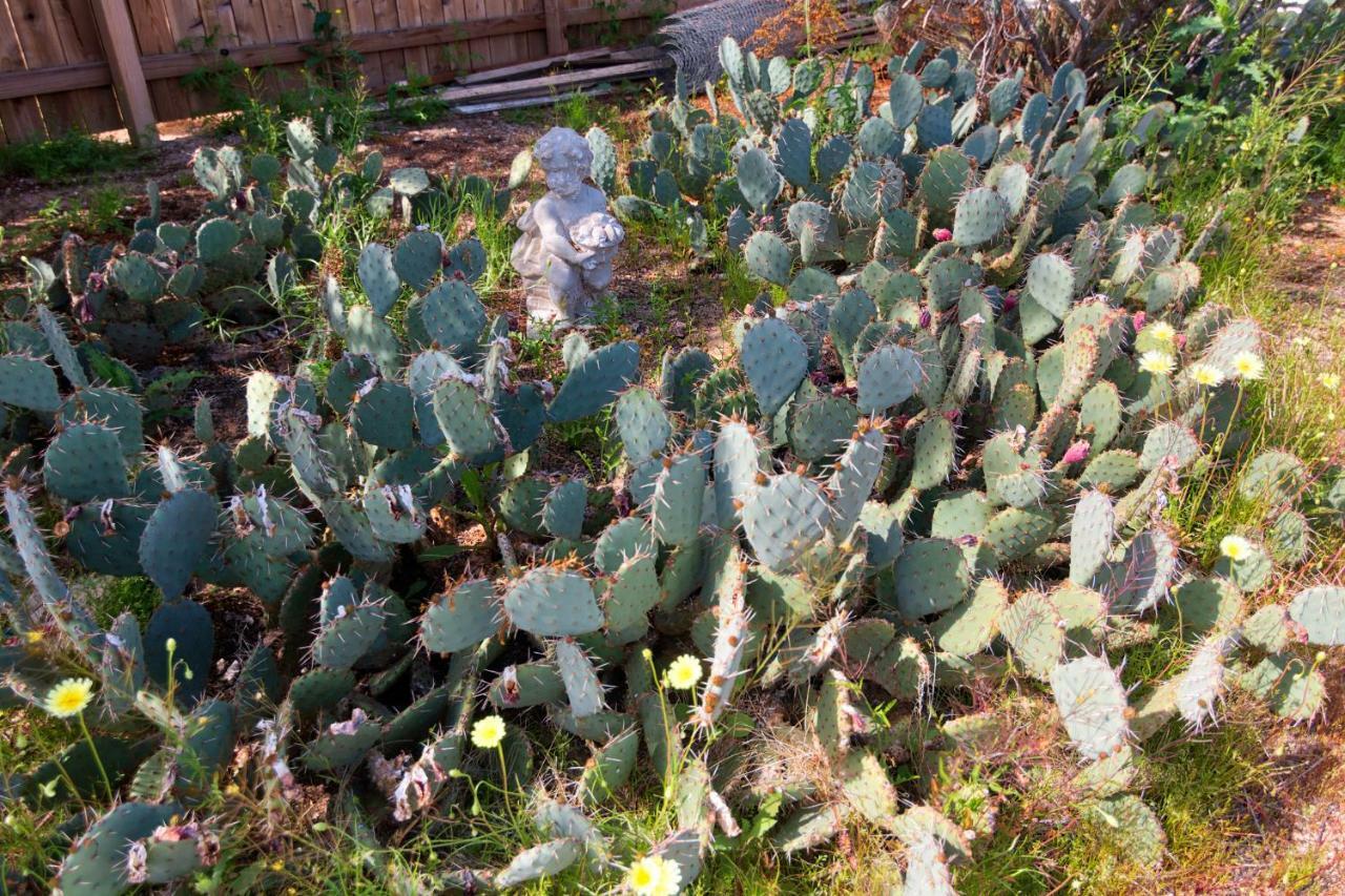 Cactus Adobe Villa Twentynine Palms Eksteriør billede